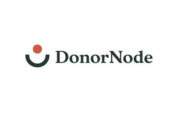 DonorNode logo, a modern mark for digital transformation consulting services